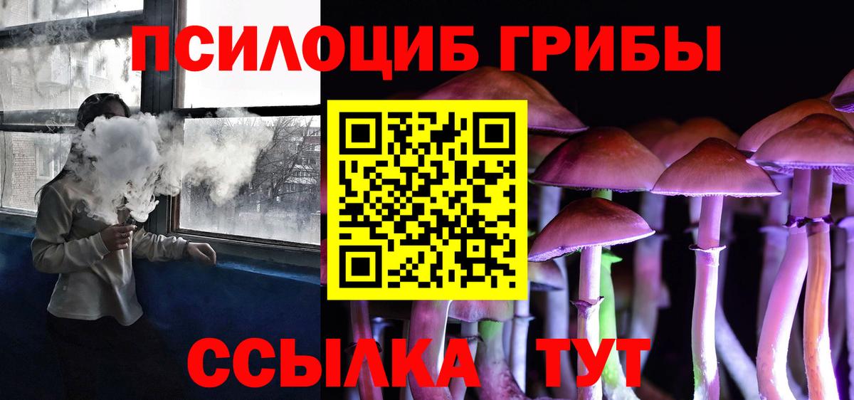 Галлюциногенные грибы прущие грибы  Вход с VPN  Верхний Уфалей  Псилоцибиновые грибы Psilocybe 